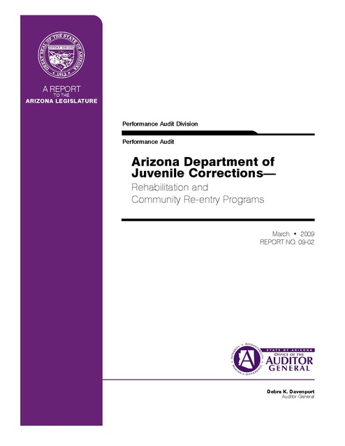 arizona audit report findings